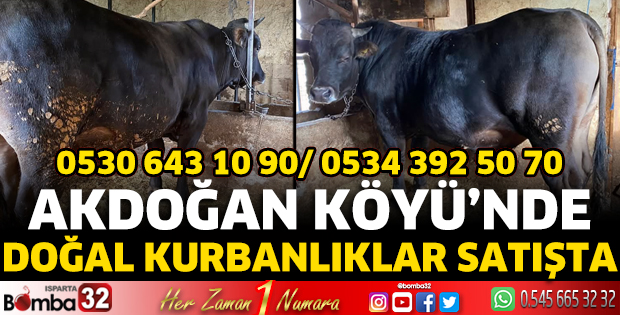 Akdoğan Köyü’nde Doğal Kurbanlıklar Satışta