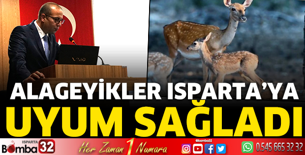 Alageyikler Isparta'ya uyum sağladı