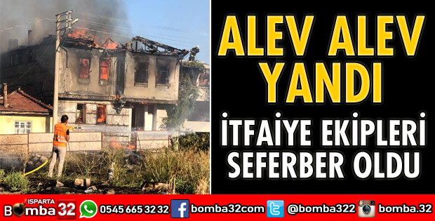 ALEV ALEV YANDI