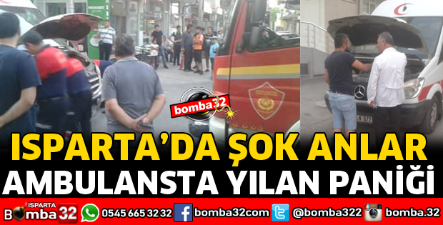 AMBULANSTA YILAN PANİĞİ