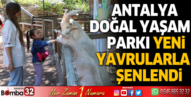 Antalya Doğal Yaşam Parkı yeni yavrularla şenlendi