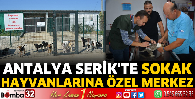Antalya Serik'te sokak hayvanlarına özel merkez