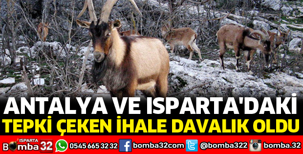 ANTALYA VE ISPARTA'DAKİ TEPKİ ÇEKEN İHALE DAVALIK OLDU