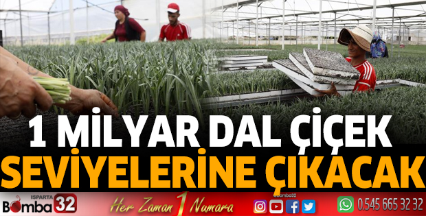Antalya'da 1 milyar dal kesme çiçekten 165 milyon dolar gelir hedefi