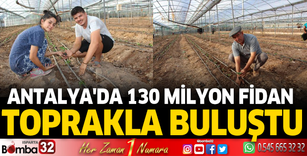 Antalya'da 130 milyon fidan toprakla buluştu