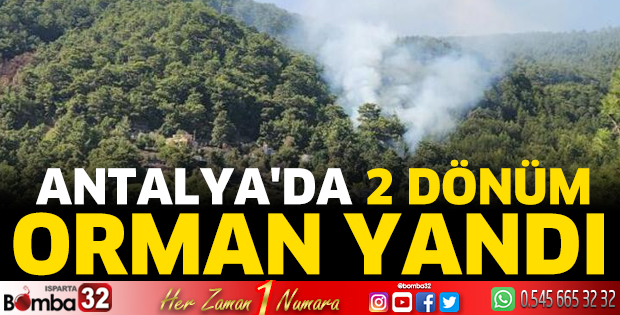 Antalya'da 2 dönüm orman yandı