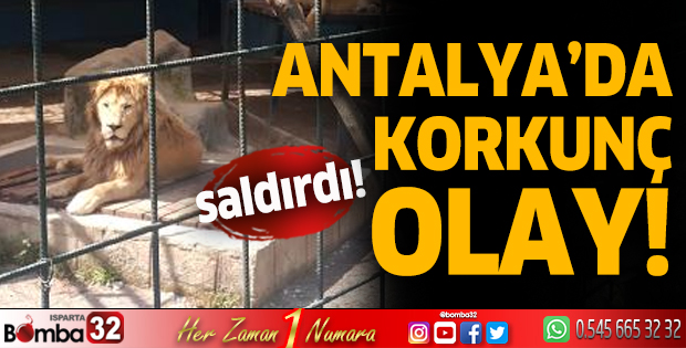 Antalya'da korkunç olay