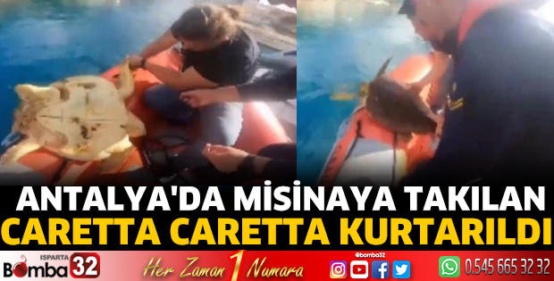 Antalya'da misinaya takılan caretta caretta kurtarıldı