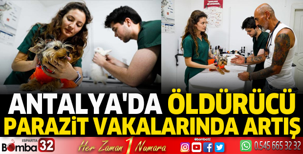 Antalya'da öldürücü parazit vakalarında artış
