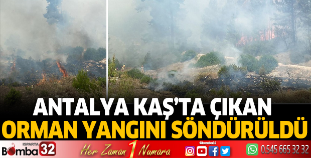 Antalya'da orman yangını