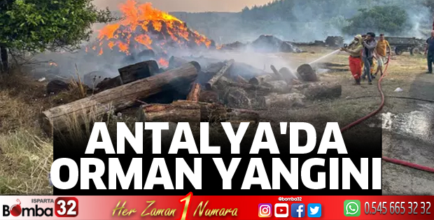 Antalya'da orman yangını