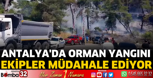 Antalya'da orman yangını