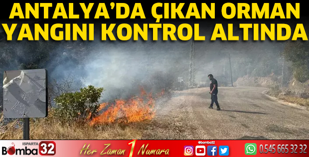 Antalya'da orman yangını kontrol altında