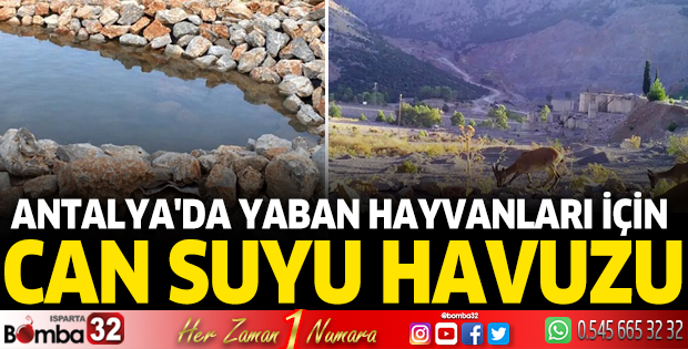 Antalya'da yaban hayvanları için can suyu havuzu