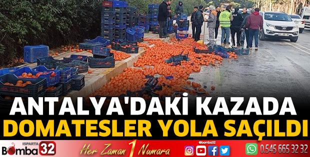 Antalya'daki kazada domatesler yola saçıldı