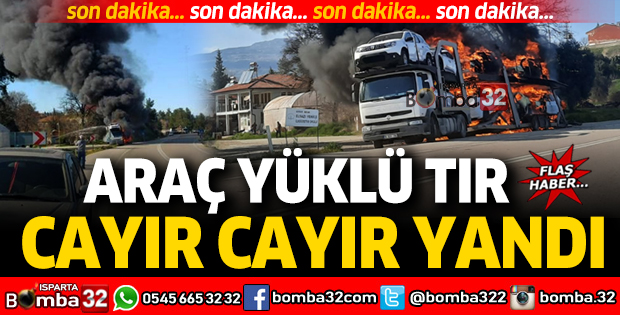 Araç yüklü TIR cayır cayır yandı!
