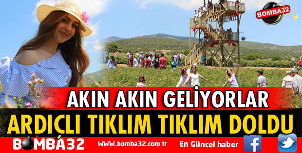 ARDIÇLI TIKLIM TIKLIM DOLDU