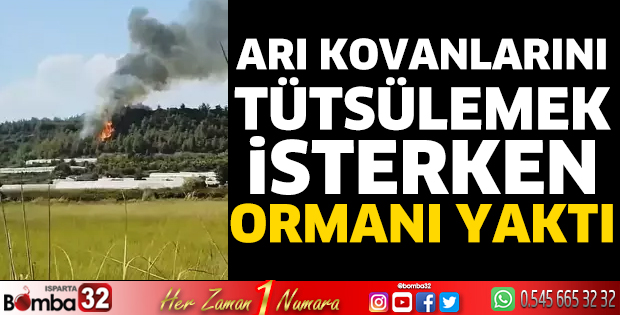 Arı kovanlarını tütsülemek isterken ormanı yaktı