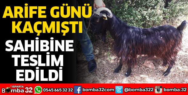 ARİFE GÜNÜ KAÇAN KEÇİNİN SAHİBİ BULUNDU