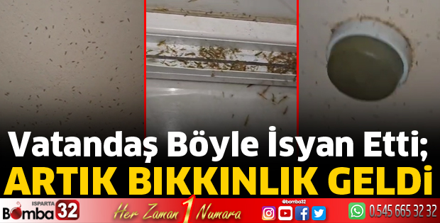 Artık bıkkınlık geldi