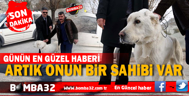 ARTIK ONUN BİR SAHİBİ VAR