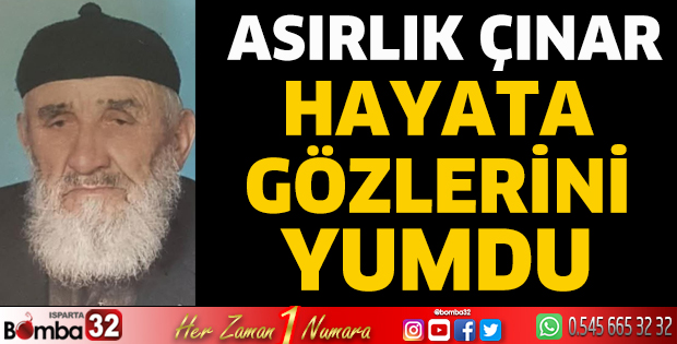 Asırlık çınar hayata gözlerini yumdu
