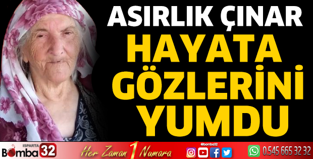 Asırlık çınar hayata gözlerini yumdu