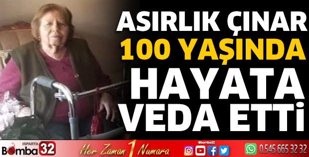 Asırlık çınar hayata veda etti