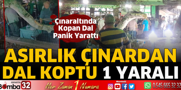 Asırlık Çınardan dal koptu 1 yaralı