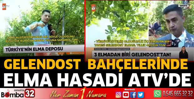 ATV Haber Gelendost elma bahçelerinde