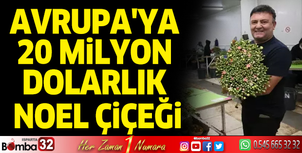 Avrupa'ya 20 Milyon Dolarlık Noel çiçeği