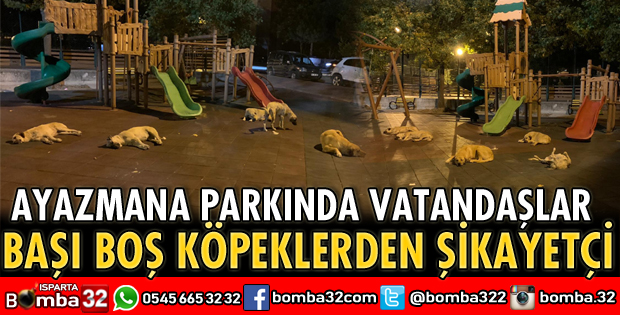 AYAZMANADA HALK BAŞI BOŞ KÖPEKLERDEN ŞİKAYETÇİ
