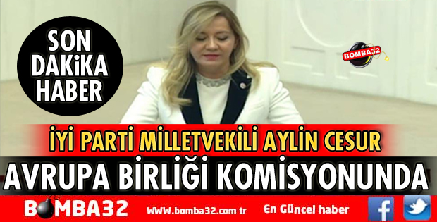 AYLİN CESUR AB KOMİSYONUNDA
