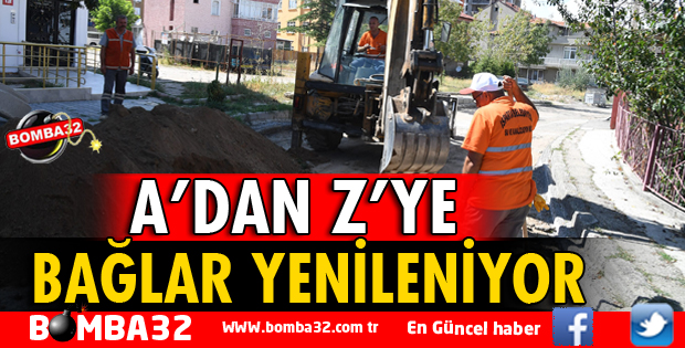 BAĞLAR BAŞTAN SONA YENİLENİYOR