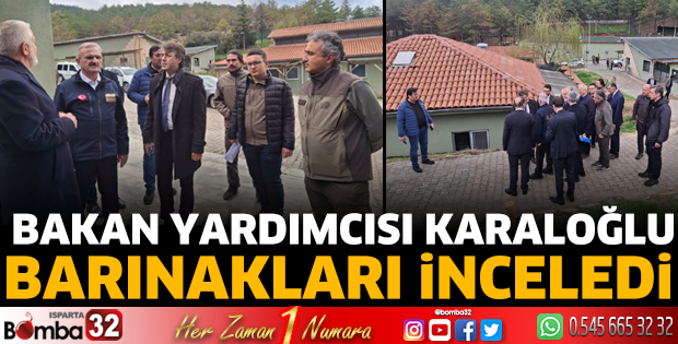 Bakan Yardımcısı Karaloğlu barınakları inceledi