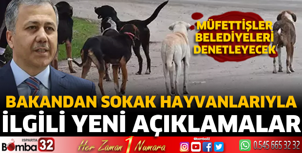 Bakandan sokak hayvanlarıyla ilgili yeni açıklamalar