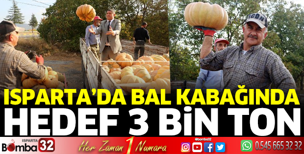 Bal kabağında hedef 3 bin ton rekolte