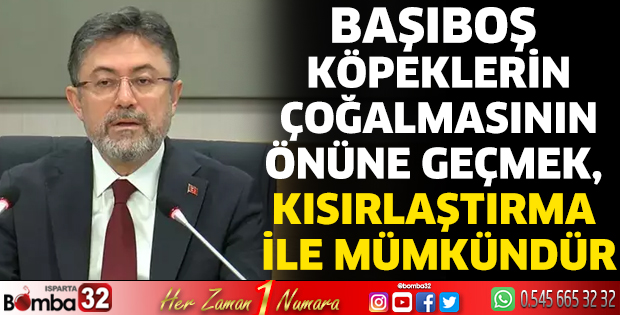 Başıboş sokak köpekleri hakkında açıklamalarda bulundu