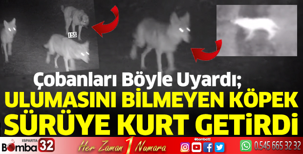 Başkan çobanları böyle uyardı