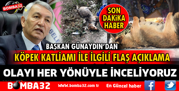 BAŞKAN GÜNAYDIN'DAN KÖPEK KATLİAMI OLAYINA SERT TEPKİ