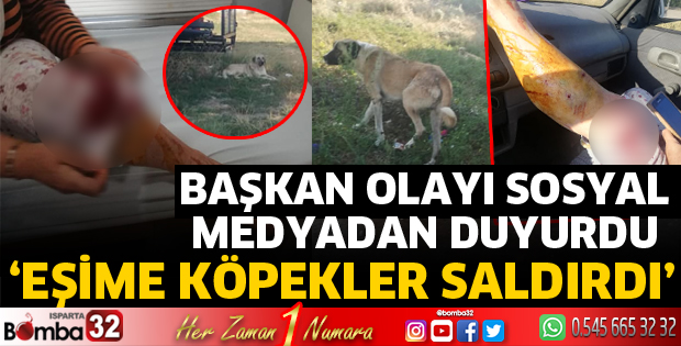 Başkanın eşine köpekler saldırdı