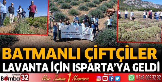 Batmanlı çiftçiler lavanta için Isparta'da