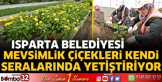 Belediye mevsimlik çiçekleri kendi seralarında yetiştiriyor