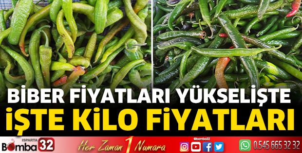 Biber fiyatları yükselişte