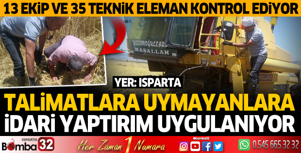 Biçerdöverler tarlalara girmeye başladı