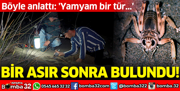 Bir asır sonra bulundu: yamyam bir tür...