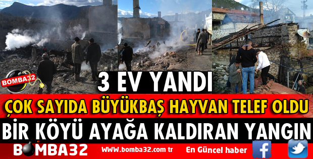 BİR KÖYÜ AYAĞA KALDIRAN YANGIN TAM 3 EV YANDI