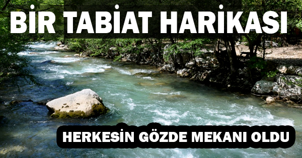 Bir tabiat harikası