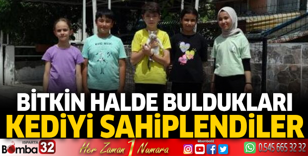 Bitkin halde buldukları kediyi sahiplendiler