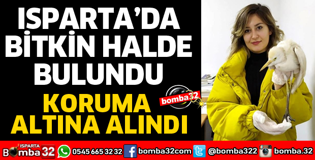 BİTKİN HALDE BULUNUP KORUMAYA ALINDI